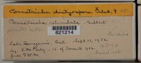 Image Associated With the Occurence